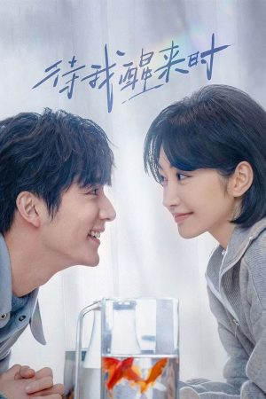 Đợi Khi Tôi Tỉnh Lại