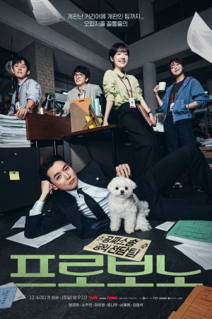 Luật Sư Công Ích