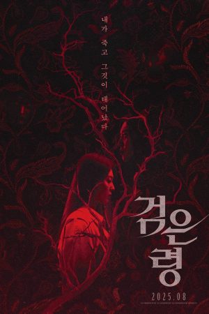 Oán Hồn Trong Vali