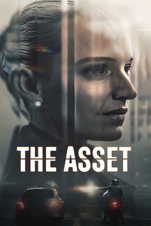 The Asset The Asset